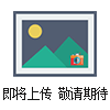 METTLER TOLEDO梅特勒-托利多MS304S電子天平320g*0.1mg分析天平